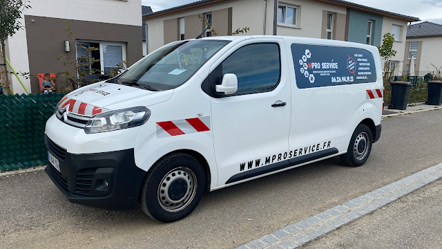 M Pro Service Belfort : Dératisation, Désinsectisation, Dépigeonnage & Désinfection