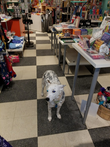 Gift Shop «Pleasant Surprise», reviews and photos, 121 Swinburne Row, Newport, RI 02840, USA