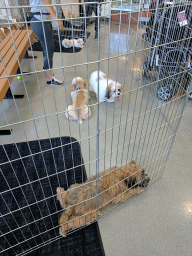Pet Supply Store «Pet Food Express», reviews and photos, 320 S Lake Ave, Pasadena, CA 91101, USA