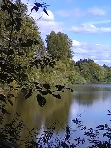 Park «Tukwila Pond Park», reviews and photos, 299 Strander Blvd, Tukwila, WA 98188, USA