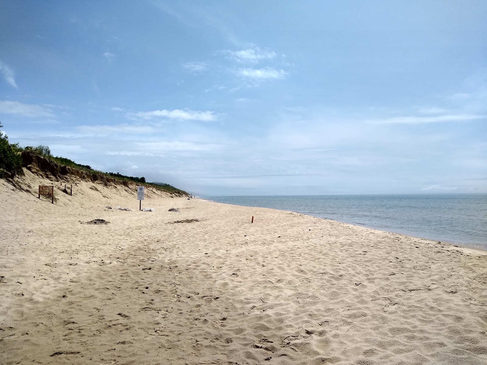 Benona Township Beach的照片 带有长直海岸