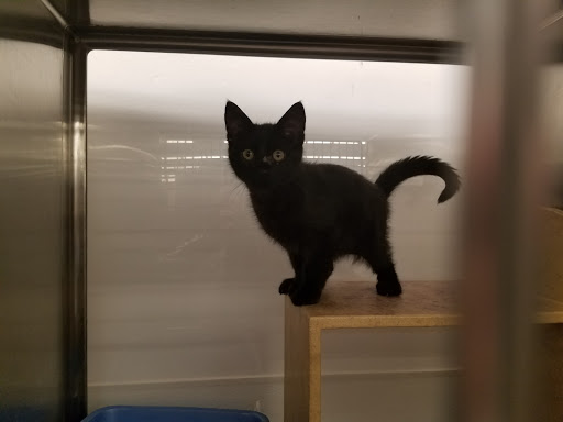 Pet Supply Store «PetSmart», reviews and photos, 10600 Melody Dr, Northglenn, CO 80234, USA