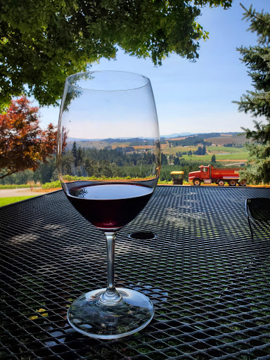 Vineyard «Willamette Valley Vineyards», reviews and photos, 8800 Enchanted Way SE, Turner, OR 97392, USA