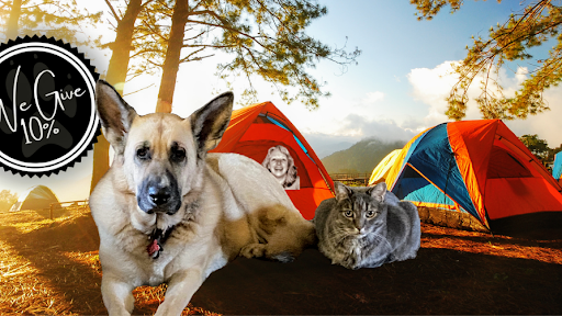 Pet Supply Store «theDogWorks/cats2», reviews and photos, 195 Thurman Ave, Columbus, OH 43206, USA