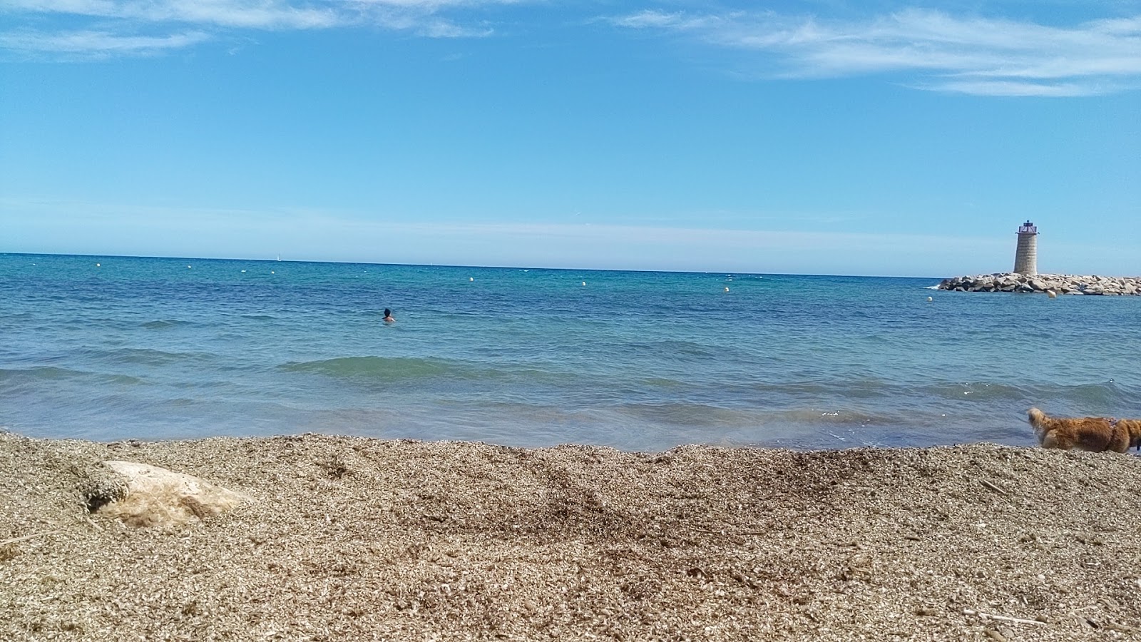 Fotografija Plage pour les Chiens z turkizna čista voda površino