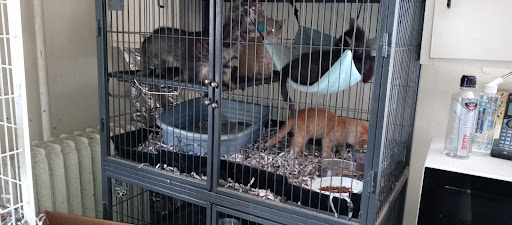 Pet Store «Animal House», reviews and photos, 7869 Hamilton Ave, Cincinnati, OH 45231, USA