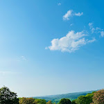 Photo n°1 de l'avis de Collin. fait le 13/06/2023 à 13:47 sur le  Parkhotel Hachenburg à Hachenburg