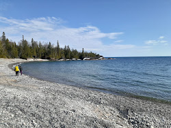 Foto di Stone Beach zona selvaggia