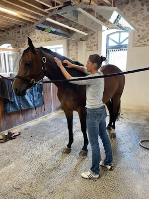 Caroline B - Bien Etre et Santé du Cheval à Subligny