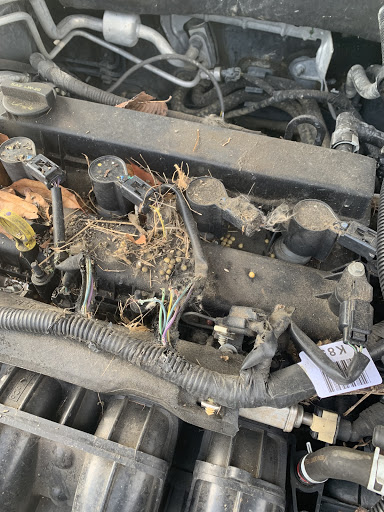 Auto Repair Shop «TFG Automotive», reviews and photos, 7528 Old Nashville Hwy, Murfreesboro, TN 37129, USA