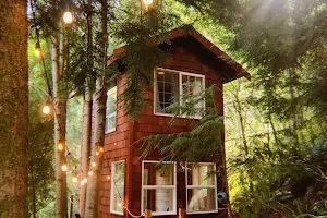 Treehouse Place at Deer Ridge image