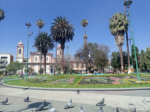 Picnics Cochabamba