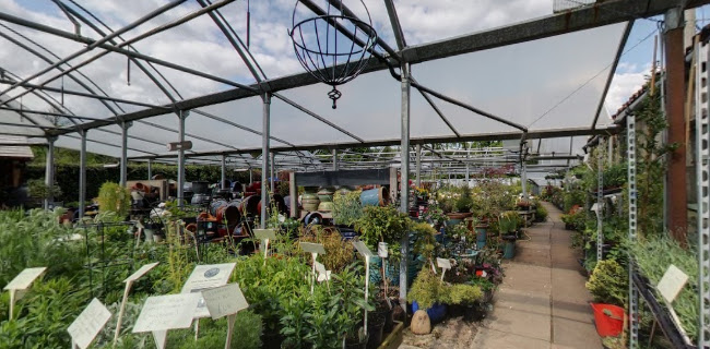 Reviews of Mill Garden Centre in Bathgate - Landscaper