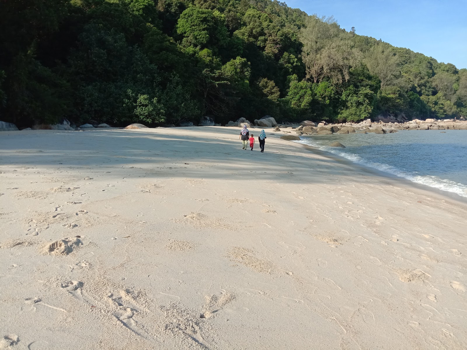 Φωτογραφία του Tropical Beach παροχές περιοχής
