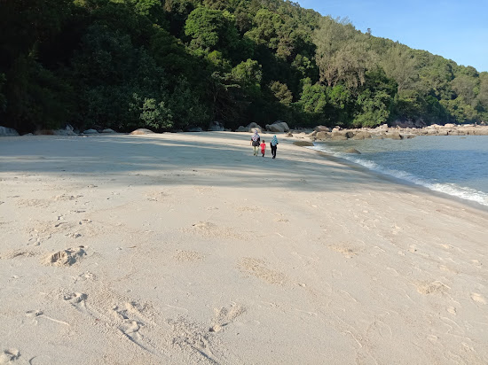 Tropical Beach
