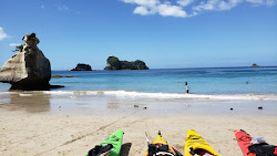 Cathedral Cove Beach'in fotoğrafı imkanlar alanı