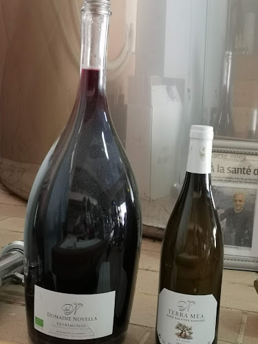 Domaine Novella AOP Patrimonio à Oletta