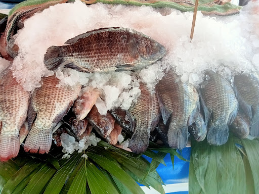 Pescadería tapia