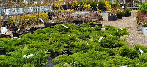 Plant Nursery «Goldner Walsh Garden and Home», reviews and photos, 559 Orchard Lake Rd, Pontiac, MI 48341, USA