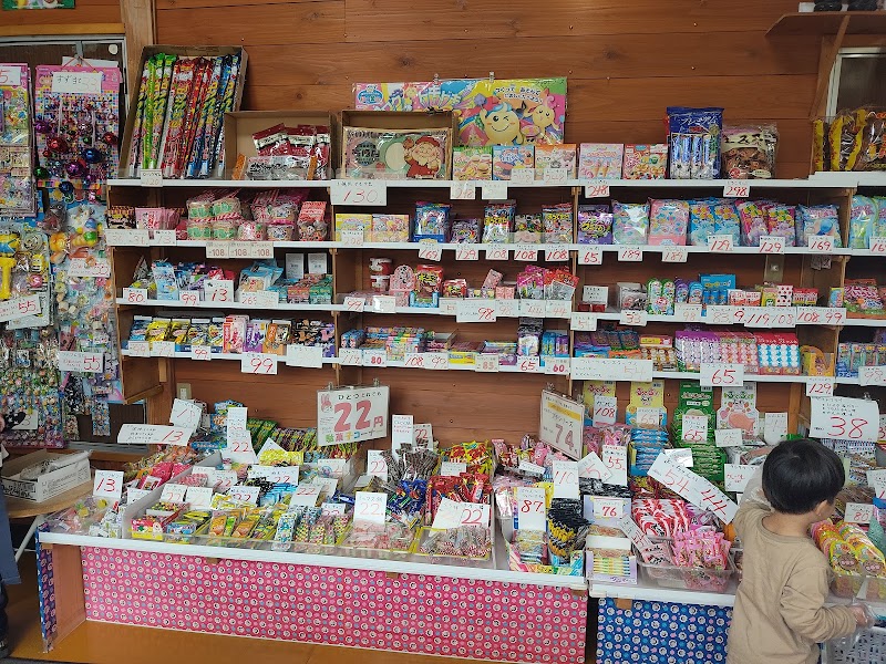 駄菓子の野崎商店
