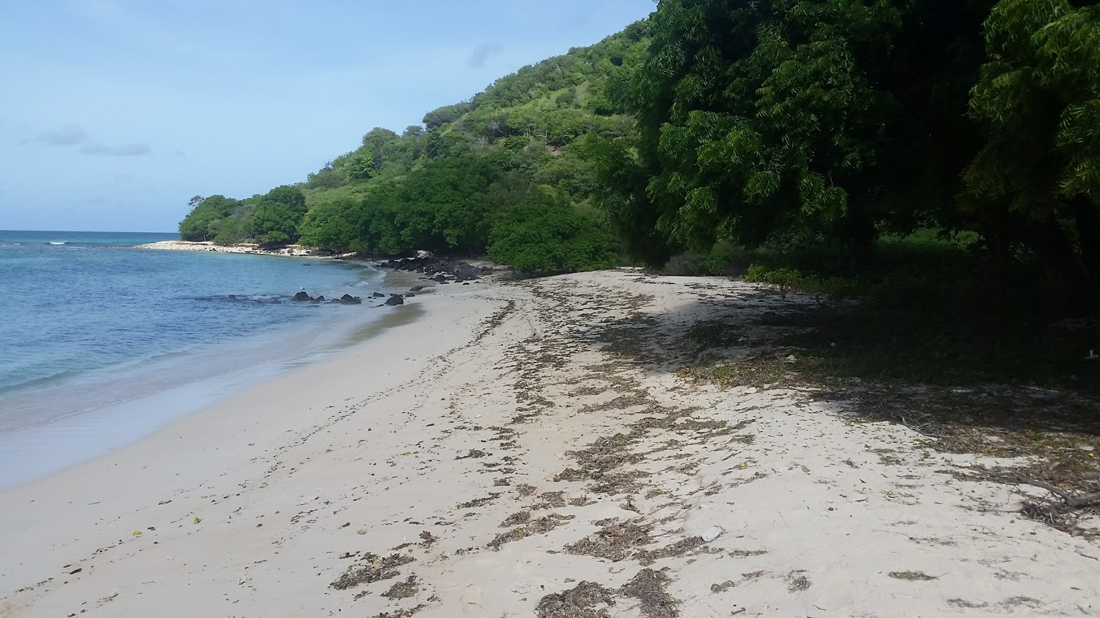Cambel path beach'in fotoğrafı #43 ile birlikte