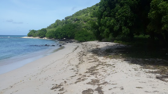 Cambel path beach