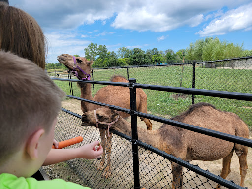 Water Park «Monsoon Lagoon Watering Hole Safari & Waterpark», reviews and photos, 1530 S Danbury Rd, Port Clinton, OH 43452, USA