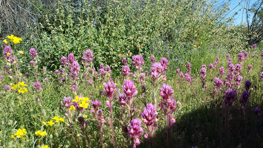 Nature Preserve «Cave Buttes Recreation Area», reviews and photos, N 7th St & E Happy Valley Rd, Phoenix, AZ 85024, USA