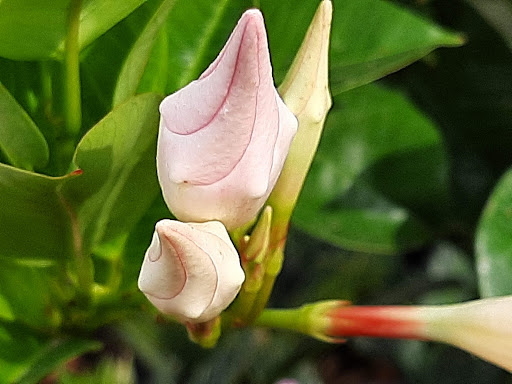 Home Improvement Store «The Home Depot», reviews and photos, 909 W McDermott Dr, Allen, TX 75013, USA