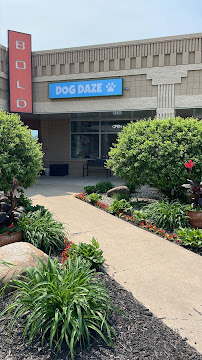 Dog Daze - Photo 2 - Car repair in Kalamazoo, MI, Kalamazoo