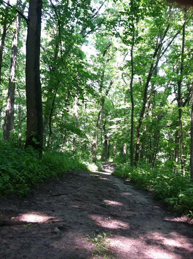Nature Preserve «Jacob Krumm Nature Preserve», reviews and photos, 15148 Jacob Ave, Grinnell, IA 50112, USA