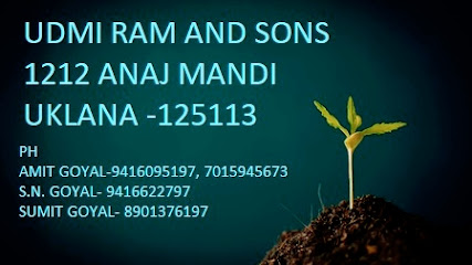 Udmi Ram And Sons