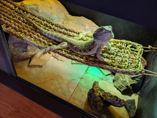 Pet Supply Store «Pet Supplies Plus», reviews and photos, 345 Willow Bend, Crystal, MN 55428, USA