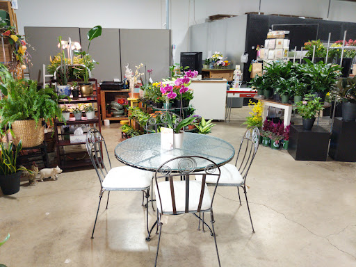 Florist «Schaaf Floral», reviews and photos, 6554 University Ave NE, Fridley, MN 55432, USA