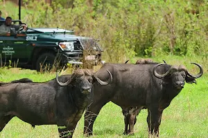 Zambezi National Park image