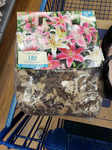 Grocery Store «Meijer», reviews and photos, 27255 23 Mile Rd, Chesterfield, MI 48051, USA