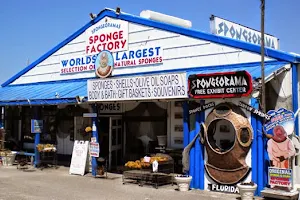 Spongeorama Sponge Factory image