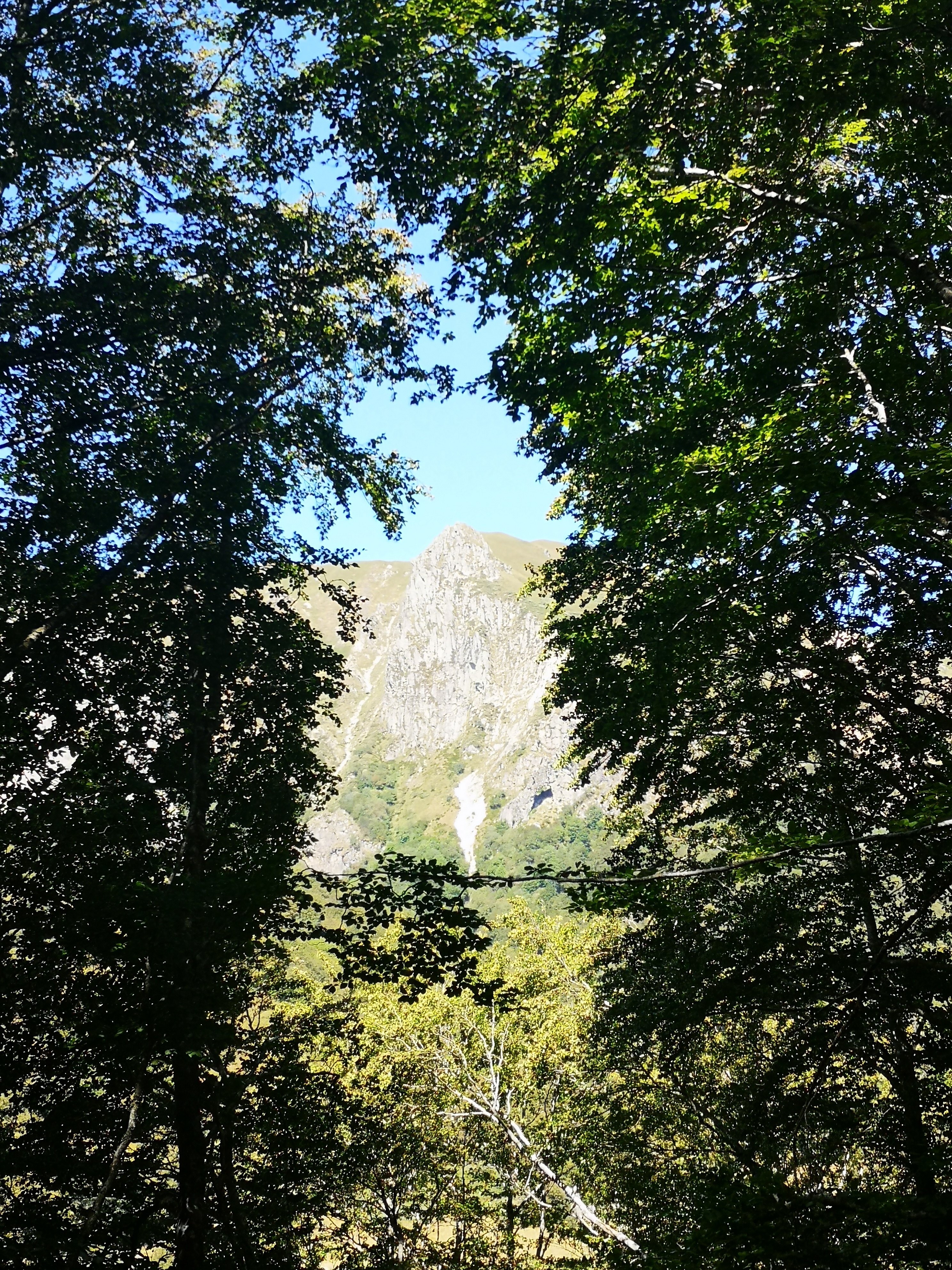 Photo n° 3 de l'avis de Cyril.A fait le 20/08/2020 à 12:18