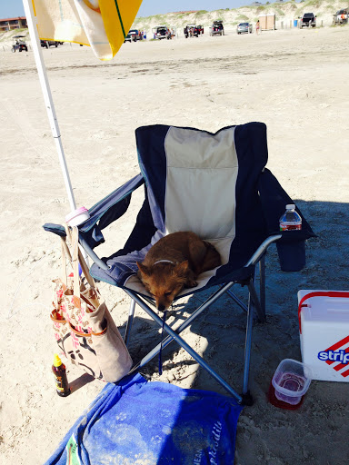 Beach Resort «Sandcastle Condominiums & Event Center», reviews and photos, 800 Sandcastle Dr, Port Aransas, TX 78373, USA