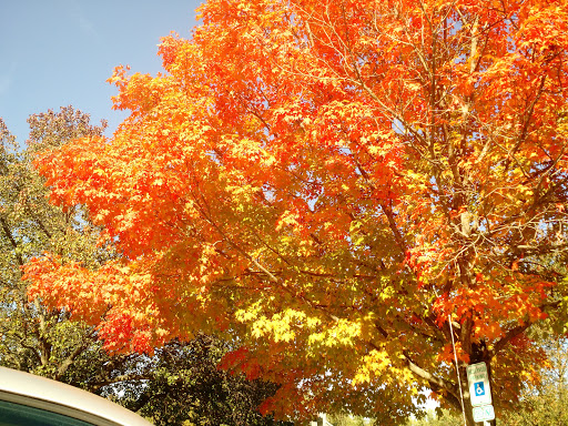 Park «Atholton Park», reviews and photos, 6875 Greenleigh Dr, Columbia, MD 21046, USA