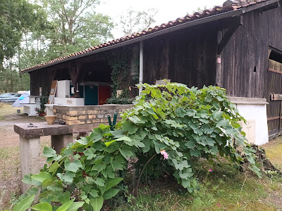 Aire naturelle de camping Au Gat à Léon