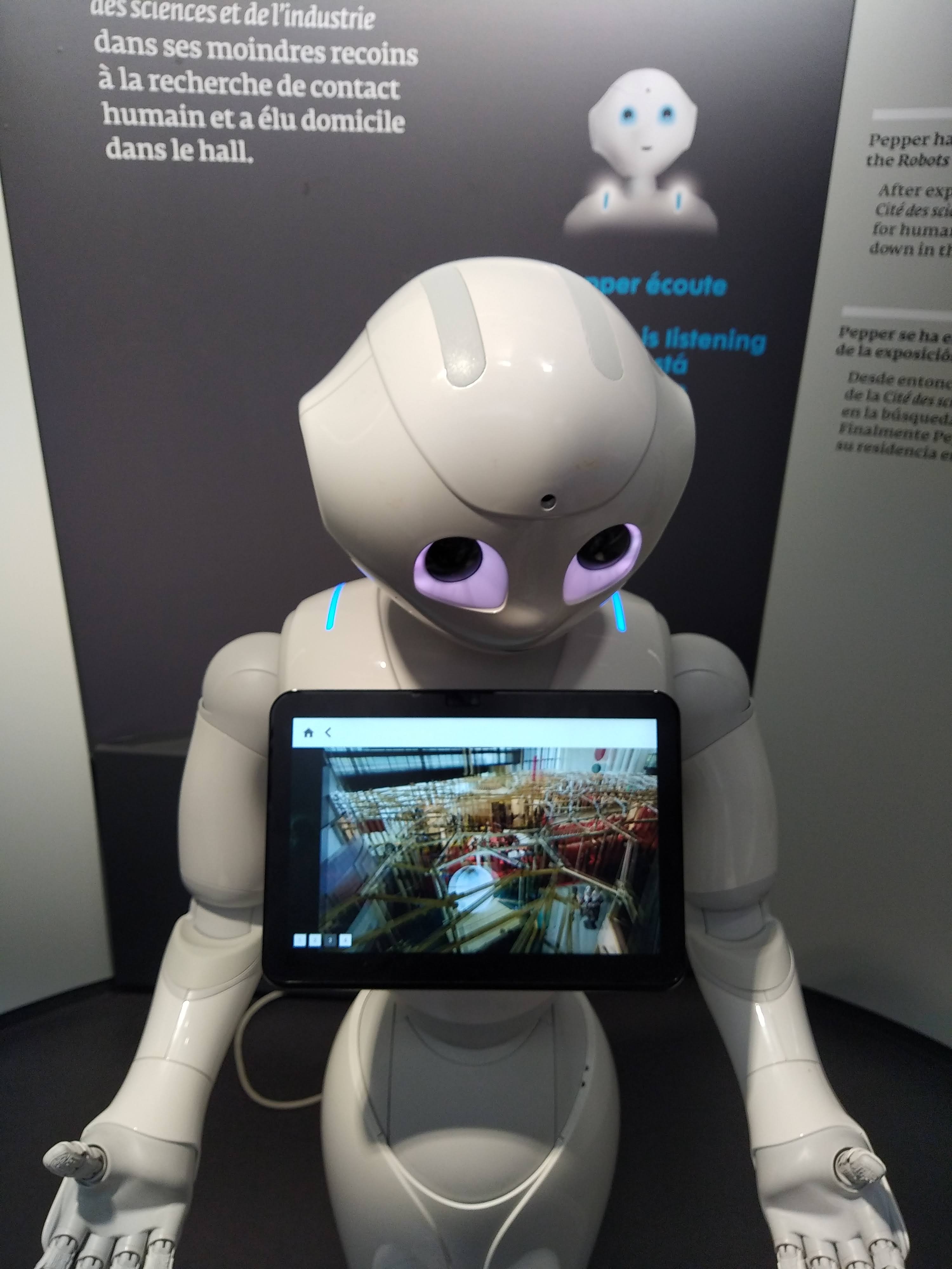 Photo n° 19 de l'avis de Ludovic.e fait le 26/10/2023 à 15:05