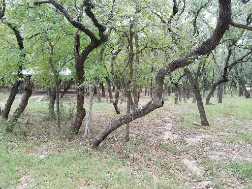 Park «McGimsey Scout Park», reviews and photos, 10810 Wedgewood Dr, San Antonio, TX 78230, USA