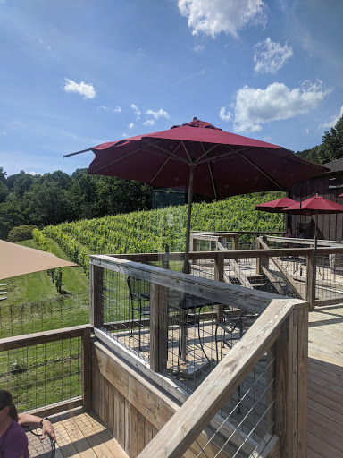 Vineyard «Naked Mountain Winery & Vineyards», reviews and photos, 2747 Leeds Manor Rd, Markham, VA 22643, USA