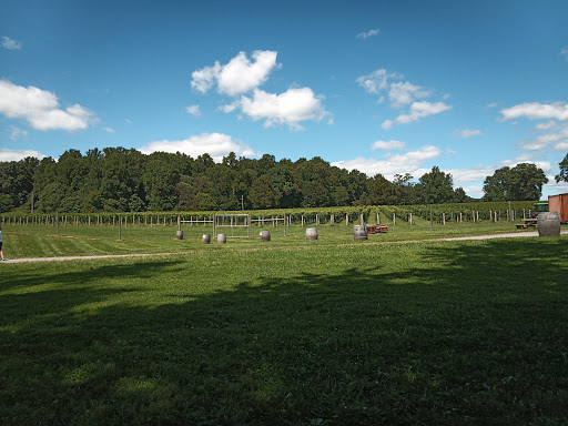 Winery «Sugarloaf Mountain Vineyard», reviews and photos, 18125 Comus Rd, Dickerson, MD 20842, USA