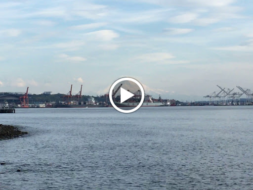 Park «Olympic Sculpture Park», reviews and photos, 2901 Western Ave, Seattle, WA 98121, USA