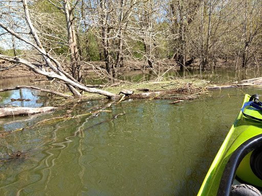 Nature Preserve «Smith and Bybee Wetlands Natural Area», reviews and photos, 5300 N Marine Dr, Portland, OR 97203, USA