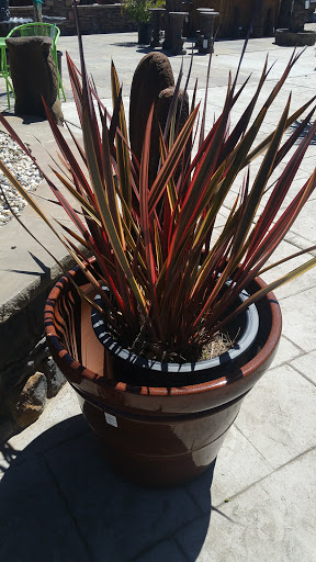 Building Materials Store «Silverado Building Materials», reviews and photos, 9297 Jackson Rd, Sacramento, CA 95826, USA