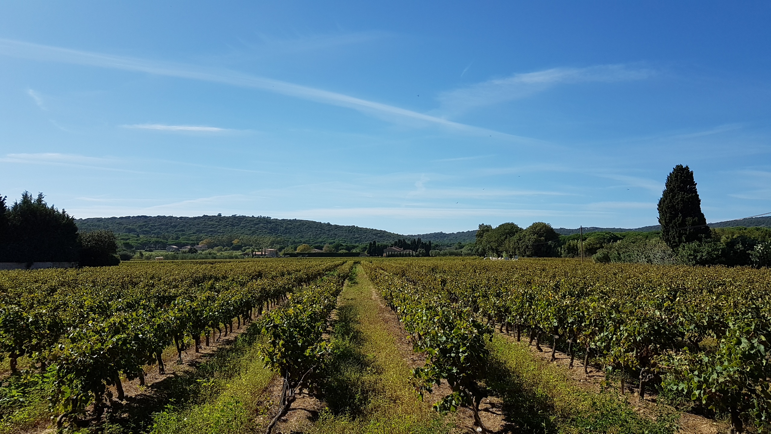Photo n° 3 de l'avis de Mike. fait le 03/10/2019 à 12:49