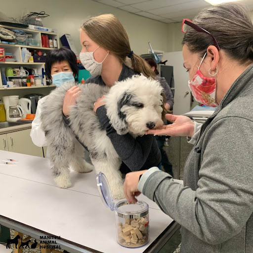 Manitou Animal Hospital image
